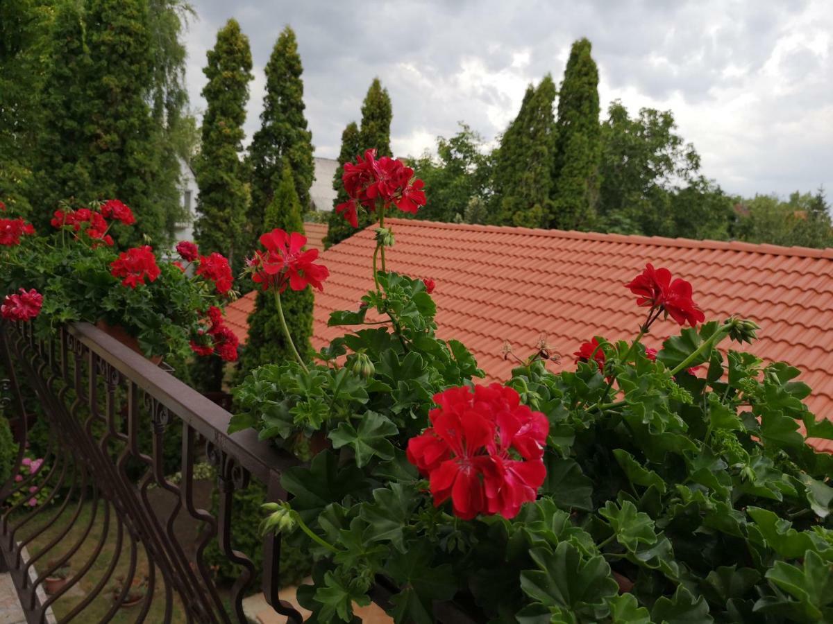 Bed and Breakfast Julia Panzio Hajdúszoboszló Exteriér fotografie