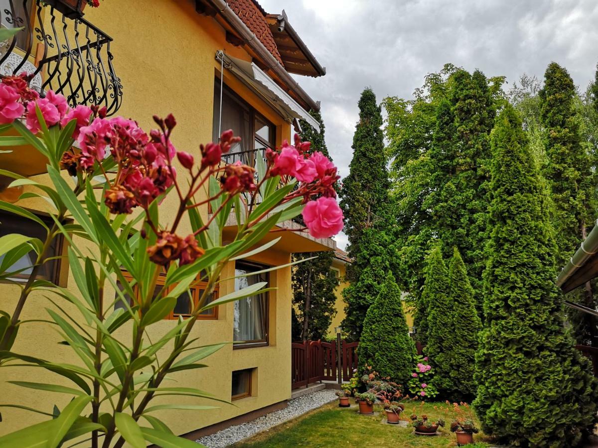 Bed and Breakfast Julia Panzio Hajdúszoboszló Exteriér fotografie