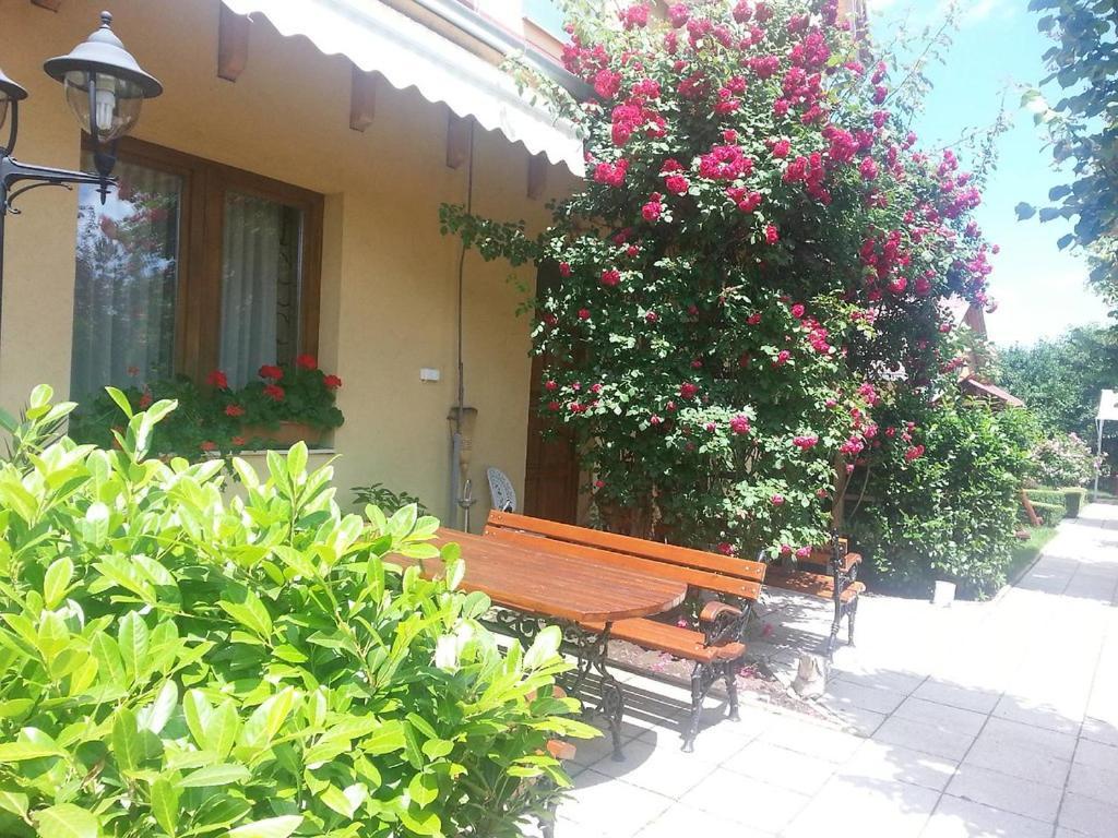 Bed and Breakfast Julia Panzio Hajdúszoboszló Exteriér fotografie
